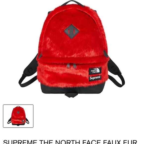 Supreme x the North Face fur backpack RED - Picture 1 of 3